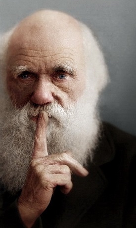 Сбил насмерть