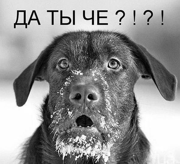 Нам всем стали стерать память!