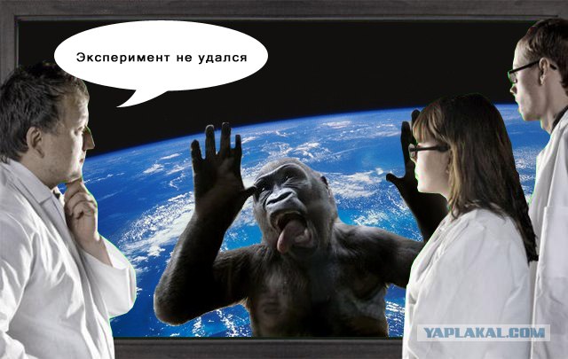 Неудачный опыт тоже опыт. (с). Николаев невеста мем. Эксперимент удался картинка. Эксперимент удался.