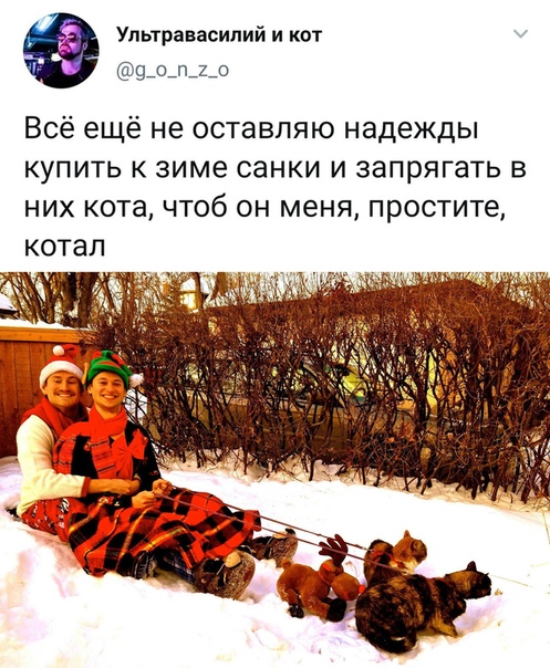 Немного картинок для настроения 14.11.20