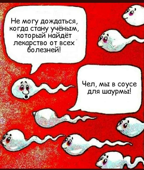 Юмор в картинках 17.11.20