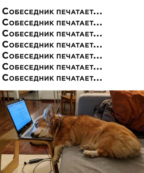 Юмор и прикольные картинки 04.12.2020