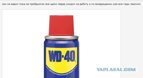 Я устал от Blattella germanica