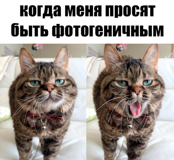 Юмор из соцсетей Ч.1
