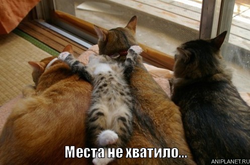 Засыпаю