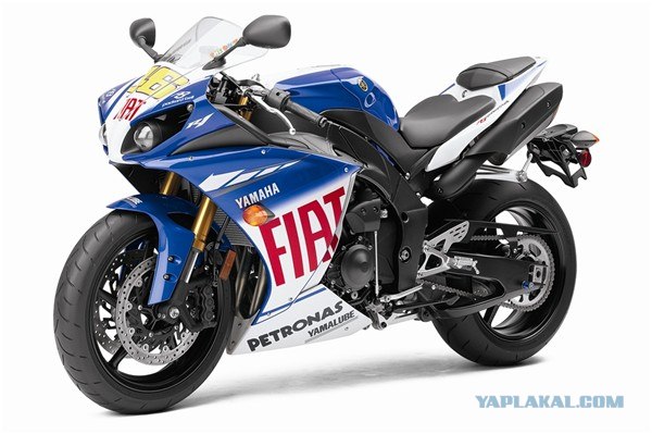 Полиция Алматы ищет автора экстремального видео