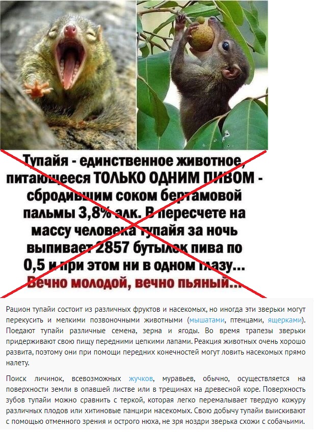 25 картинок с подписями для настроения 30.09