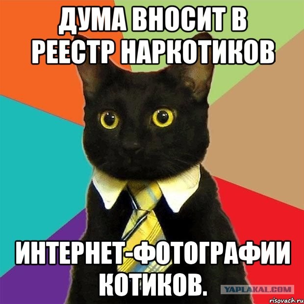 Рифма к кот. Алиса здравствуй. костюм черного кота. деловой кот. бизнес кот.