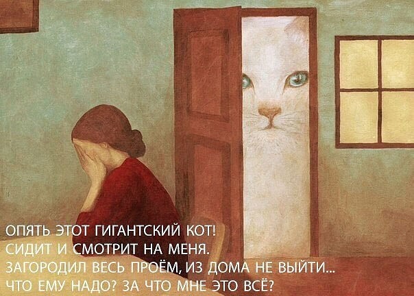 Так себе картинки 21.11.21