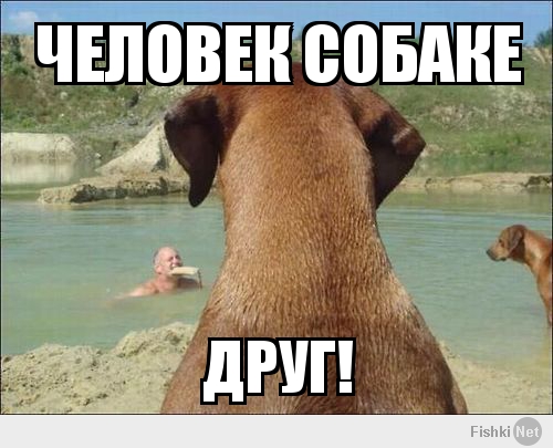 Человек собаке друг и другие картинки под настроение 13.01.2022