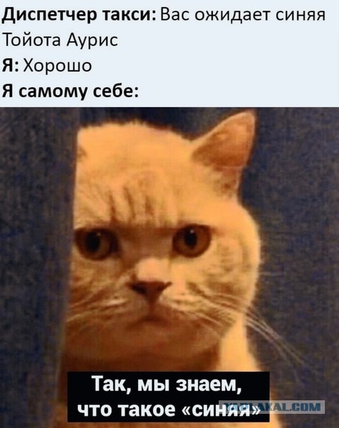 Картинки и мемы, всем прекрасных выходных
