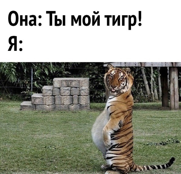 Так себе картинки 10.03.22