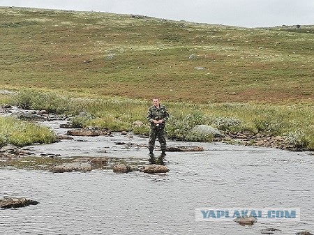 А как вы отдыхали прошлым летом?