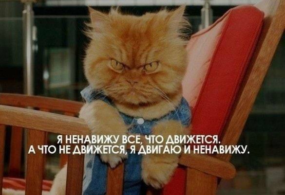 Так себе картинки 17.04.22