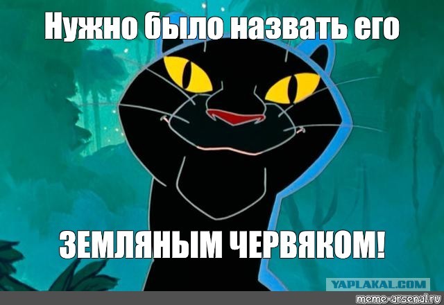 Посол Украины в Германии назвал Шольца "обиженной ливерной колбасой"