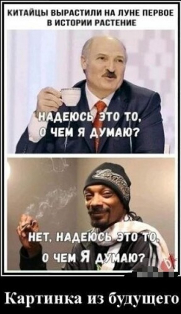 16773368.jpg