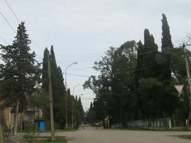 Абхазский стол