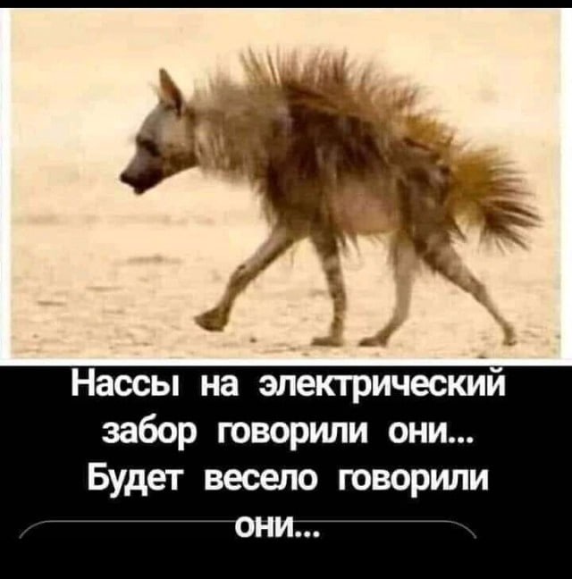 Пандемия съехавших крыш - разновидности болезни. Россия и мир. Часть 37