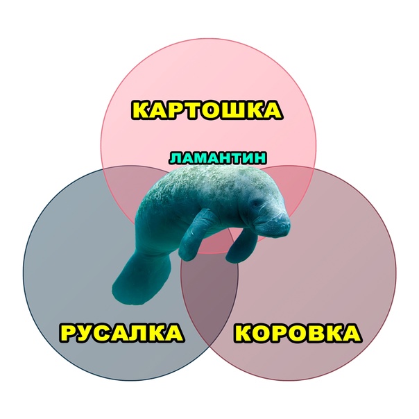 Картинки и мемы, всем хороших выходных