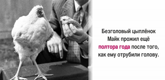30 суровых фактов, которые пугают больше, чем фильмы ужасов