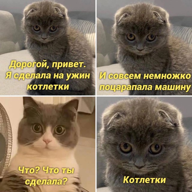 Немного картинок для настроения - 112