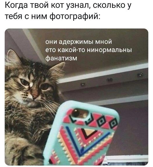Кстати, где палач?