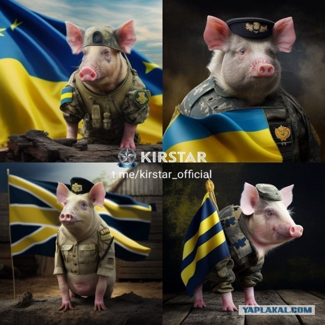 Урок для украинских СМИ: не всё желто-голубое означает поддержку Украины.