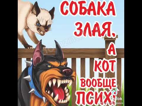 А вас не беспокоят забегающие к вам соседские собаки?