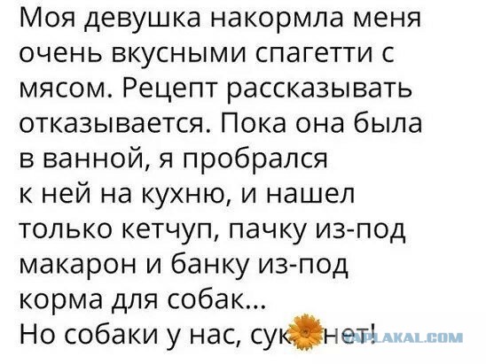 Романы и баяны