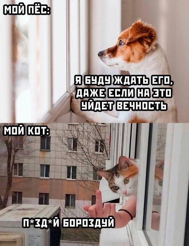 Так себе картинки 05.08.23