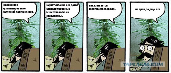 Фотожаба: Хммм... как вариант!
