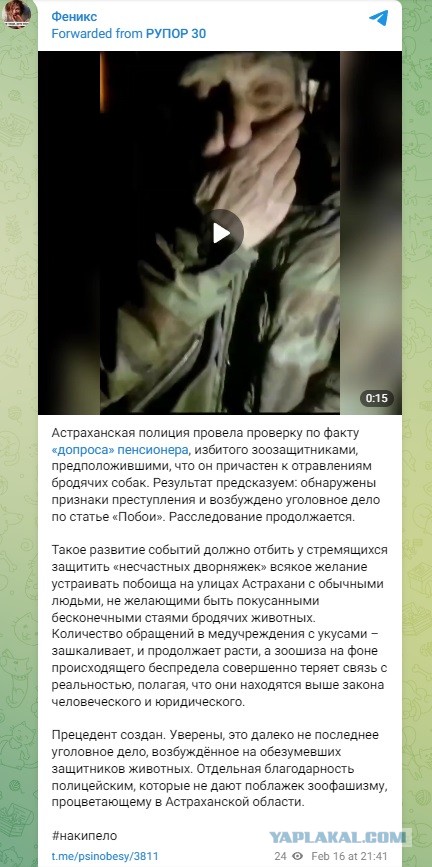 В Астрахани зоозащитники схватили пенсионера за грудки и обвинили в травле собак