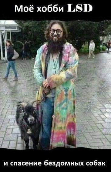Завел себе питомцев!