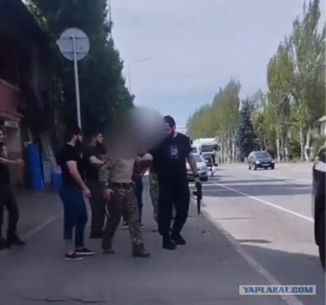 В Курске всё веселей и веселей