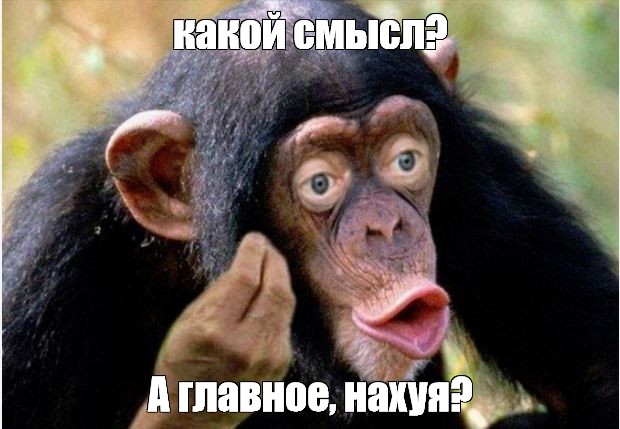Школьное фото