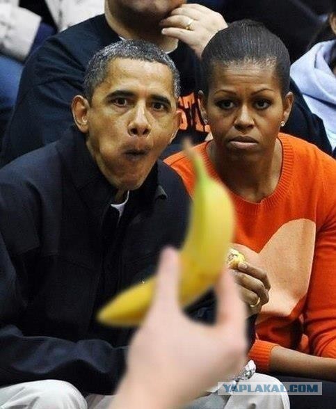 Негров—выставлять без разговоров.Европа озадачена