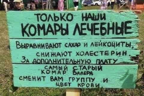 Есть у меня друг Валера, он улитка