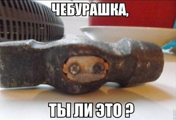 Чёт орнул