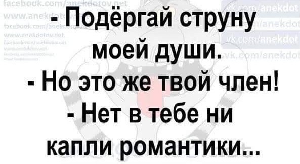 Так себе картинки 20.03.25