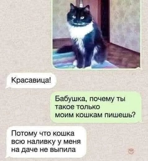 Я выбираю Спорт