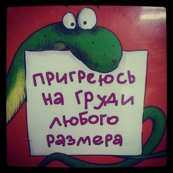 Веселое настроение в картинках 24.07.25