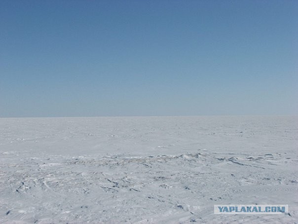 Лето пахнет льдом