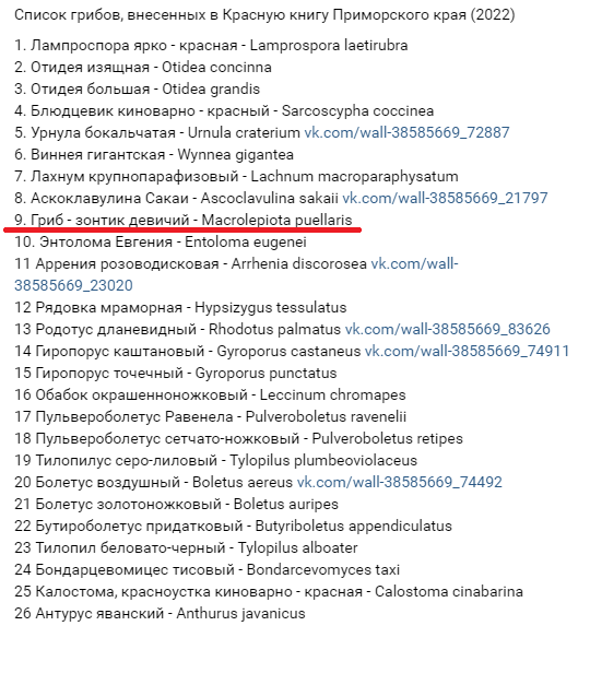Лучшая поганка.