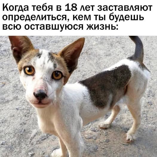 Четверговые картинки.