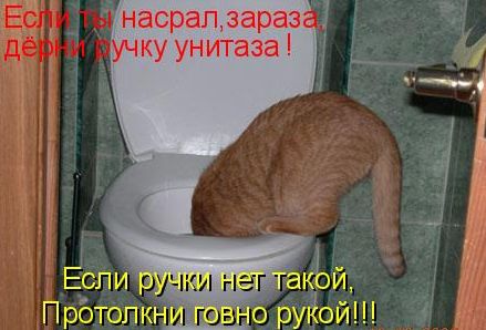 Необычные iQ-тесты для посетителей модных ресторанов начали вводить их владельцы