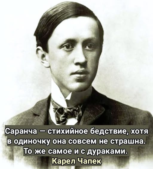 Картинки для деградации 100 (разной степени свежести)