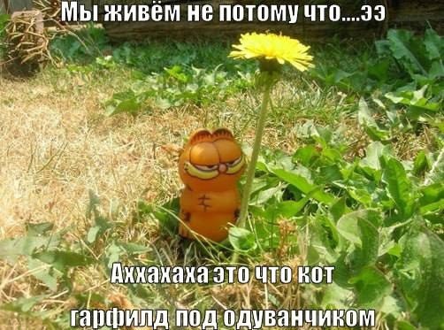 Воскресные картинки