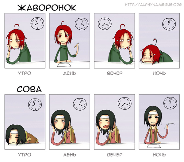 А вы сова или жаворонок?⁠⁠