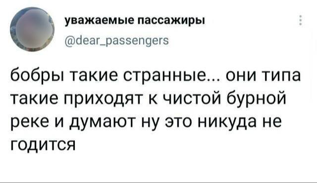 Бобры решили проблему затопления лондонского метро, с которой инженеры безуспешно боролись с 1970-х годов