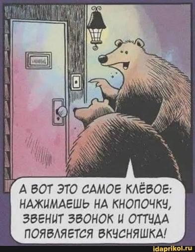 Зоологи потребовали остановить массовый отстрел медведей в России
